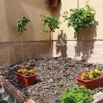 Casa vacanze Borina Sátoraljaújhely
