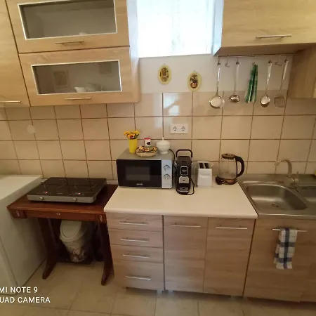Дом отдыха Borina Vendeghaz *