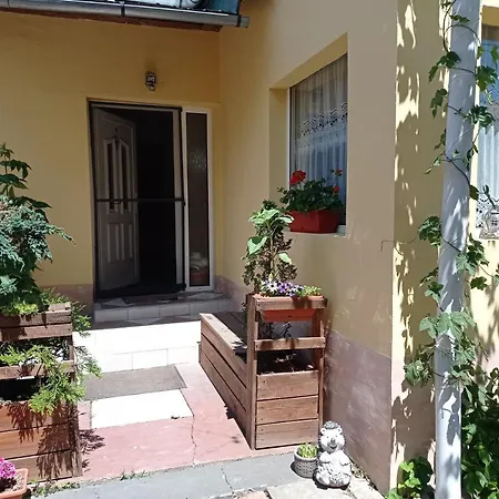 Borina Vendeghaz Satoraljaujhely