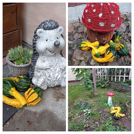 Borina Sátoraljaújhely