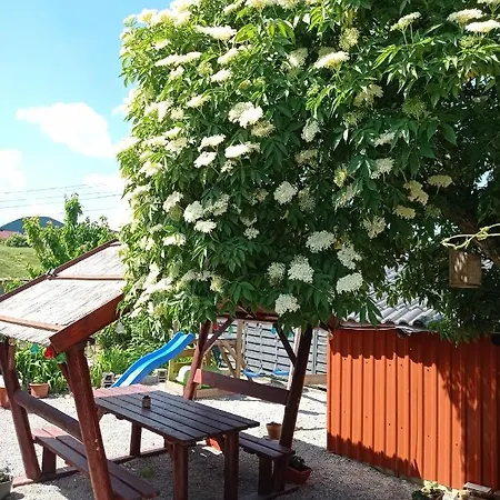 Borina Vendeghaz Sátoraljaújhely