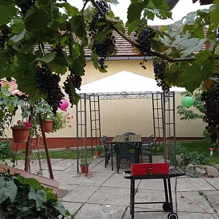 Borina Vendeghaz Holiday home Satoraljaujhely