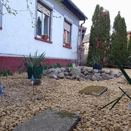 Borina Sátoraljaújhely