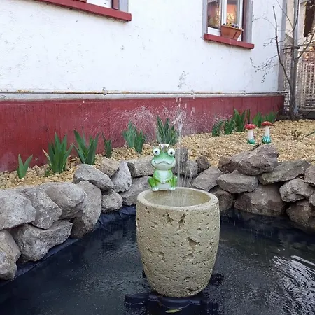 Borina Sátoraljaújhely