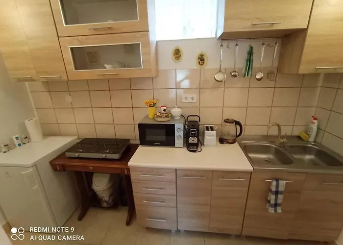Case de vacanță Borina Vendeghaz *