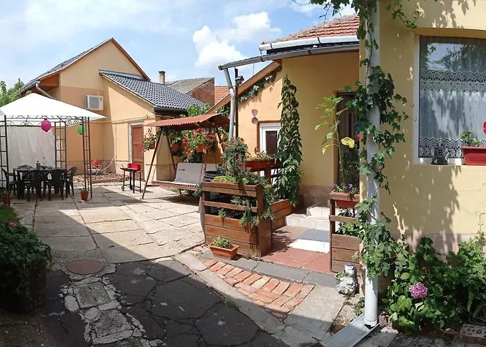 Borina Vendeghaz Case de vacanță Sátoraljaújhely