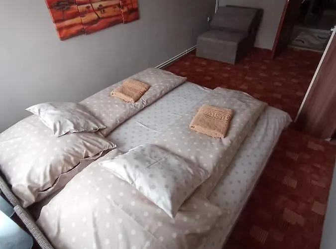 Borina Vendeghaz Case de vacanță Sátoraljaújhely