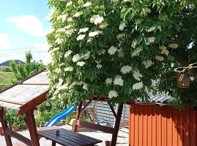 Borina Vendeghaz Шаторальяуйхей